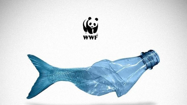 WWF: “Italia sia leader plasticfree”